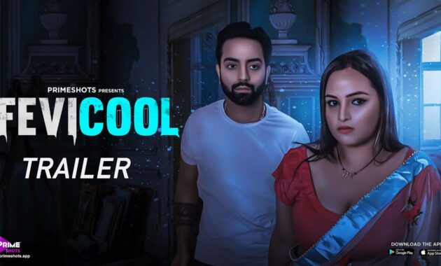 Fevicool Hot Web Series